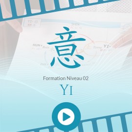 Formation Niveau 02 – Sentiment Yi