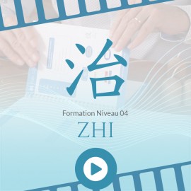 Formation Niveau 04 – Sentiment Zhi