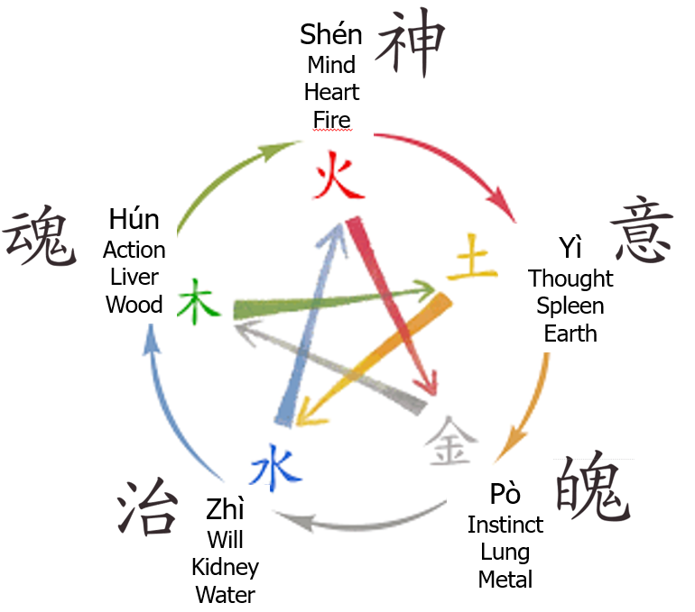 Quant Qi Harmony’s energy method - Mon équilibre énergétique